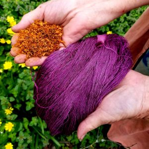 Logwood Shavings
