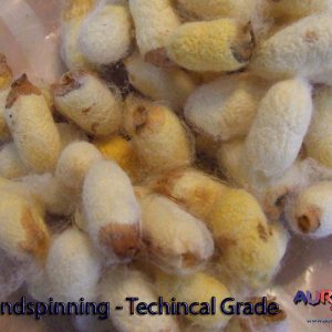 Bombyx Mori Cocoons - Bulk Pack
