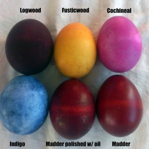 Easter Egg Kit