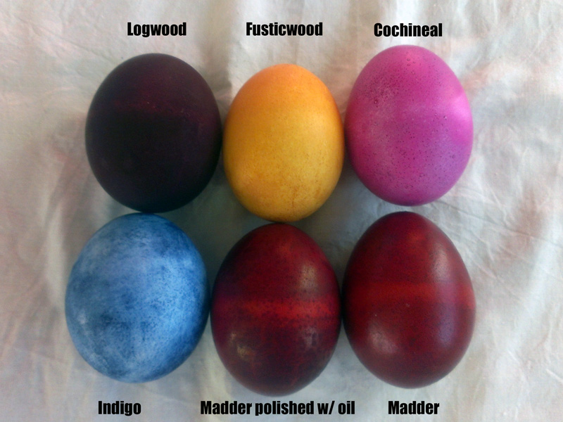 How To Dye Eggs | tunersread.com