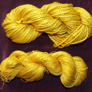 Osage Orange