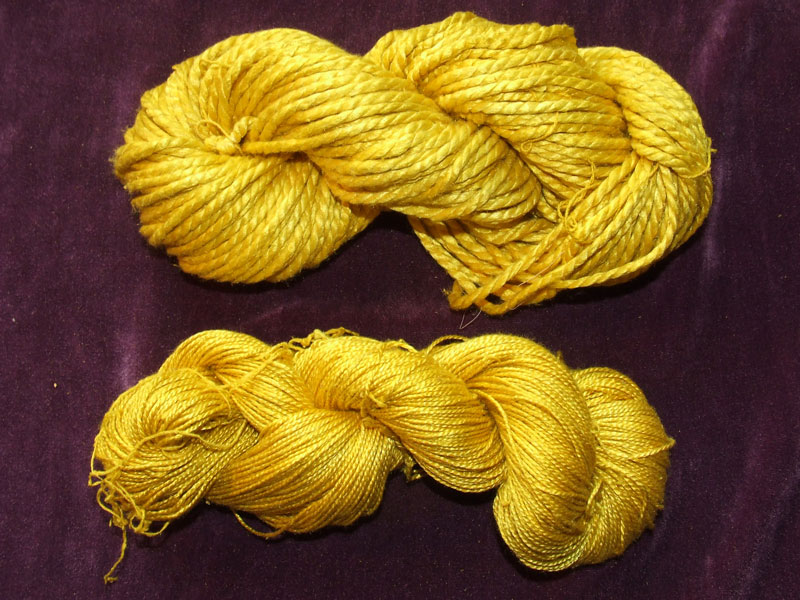 Osage Orange