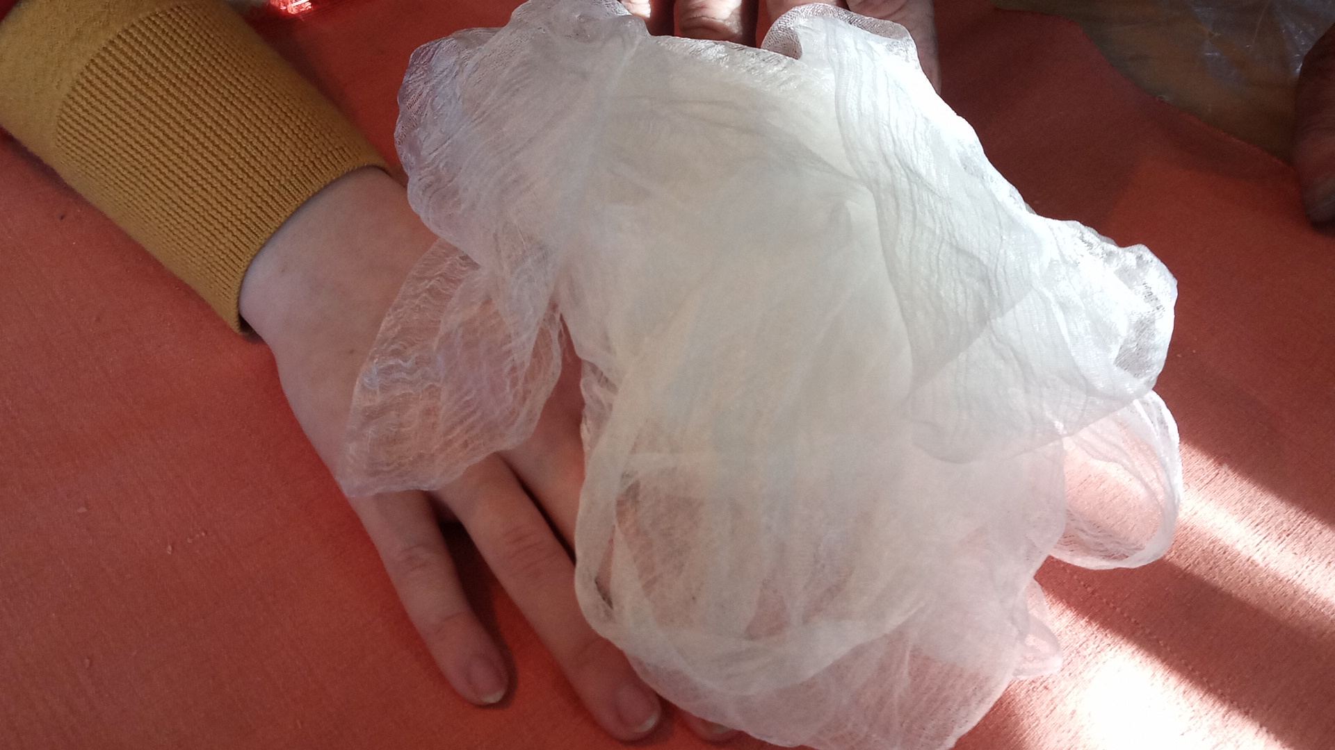 Silk! For Skin Health Facial Poof