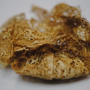 Golden Lace Cocoons
